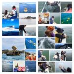 2025年も酷暑が続きますね！海洋散骨は早朝に行います。